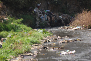 trashy river